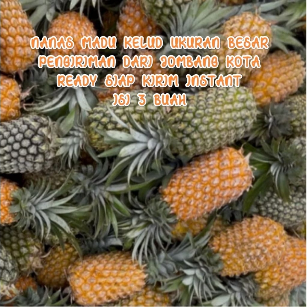 NANAS MADU KELUD UKURAN BESAR ISI 3 BUAH  PENGIRIMAN DARI JOMBANG