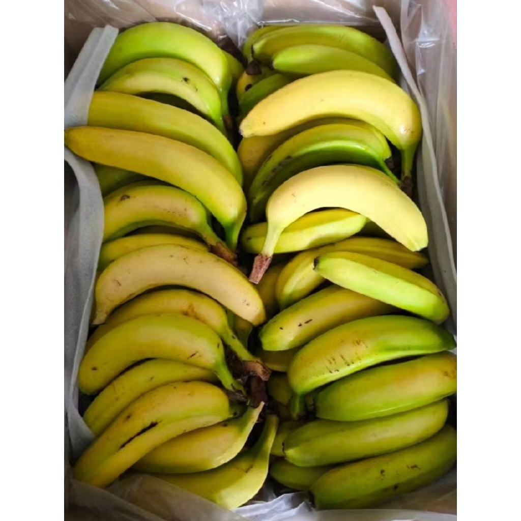 aneka buah segar area Surabaya Utara