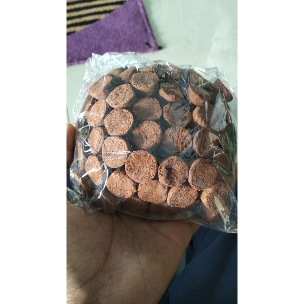 dupa kerucut kayu galih gaharu super