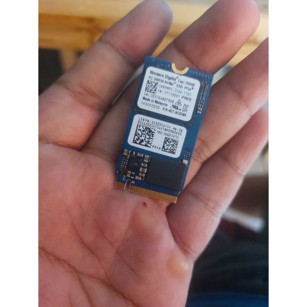 ssd m.2 nvme sata 256GB merk WD