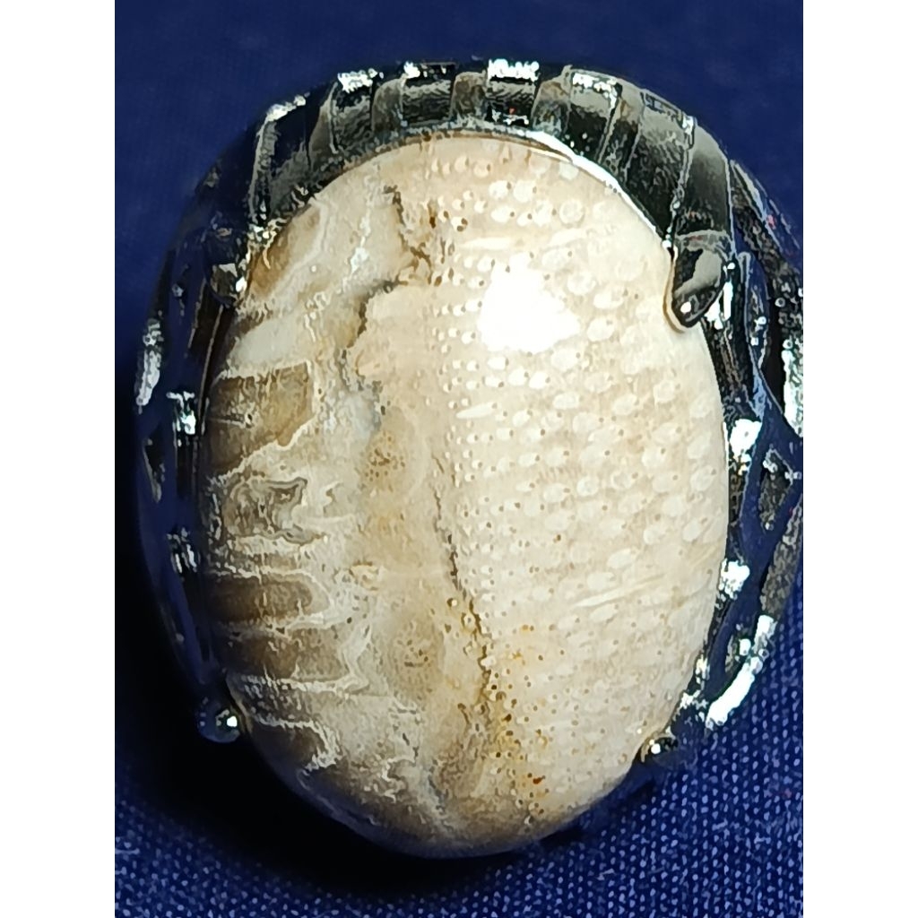 Natural Kelor Petrified Wood, WHITE, KANGAROO / Batu Fosil Kayu Kelor, PUTIH, KANGGURU