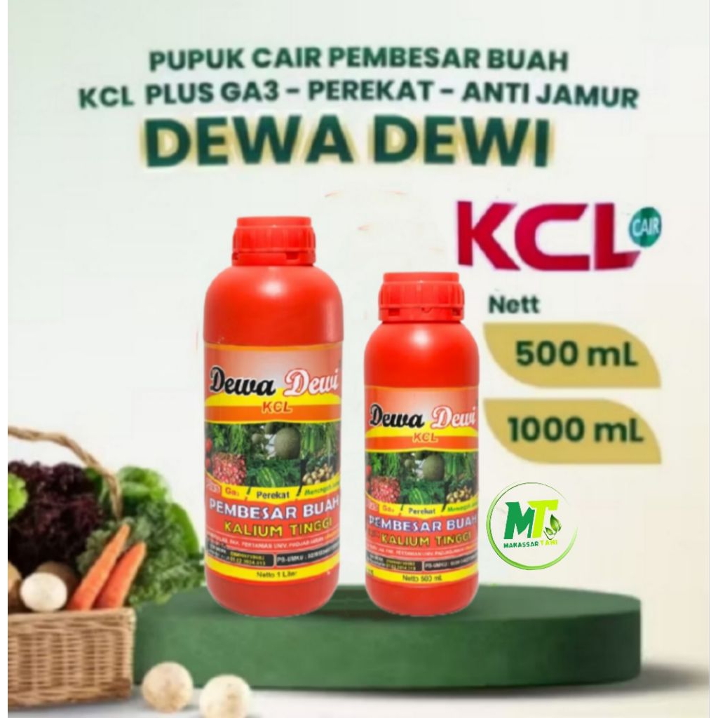 Pupuk KCL cair Dewa Dewi Pupuk Kalium Pembesar Buah