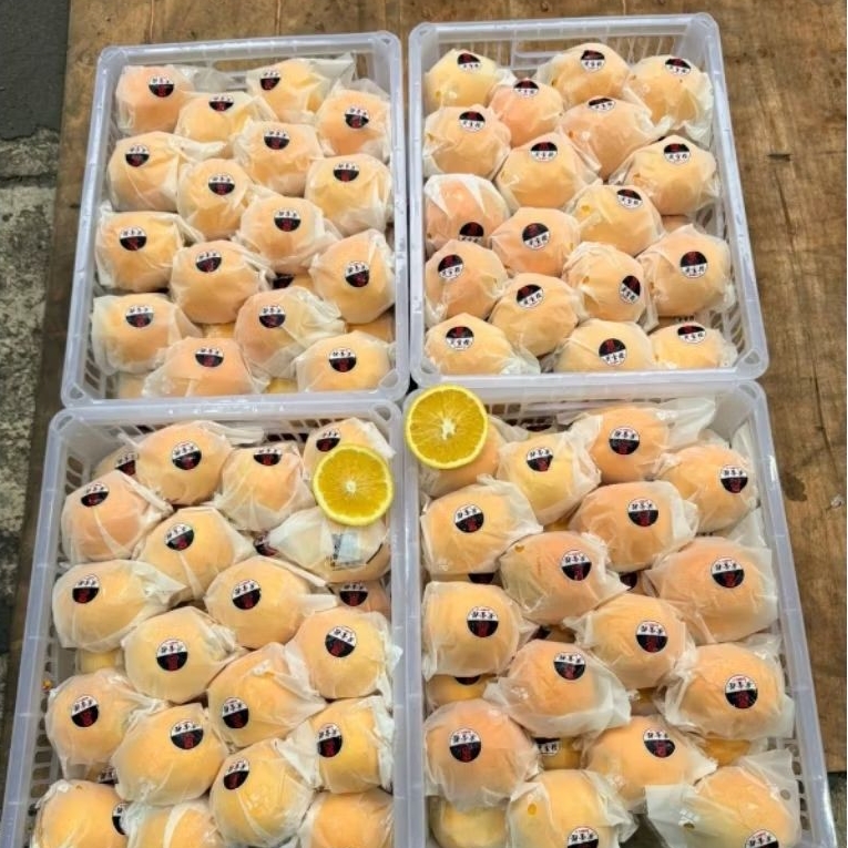Jeruk navel valencia sunkist fresh import 1kg