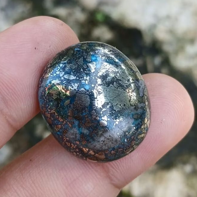 pirus badar perak