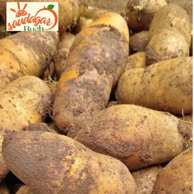 UBI GEMBILI UMBI KEMBILI KETAN 1KG