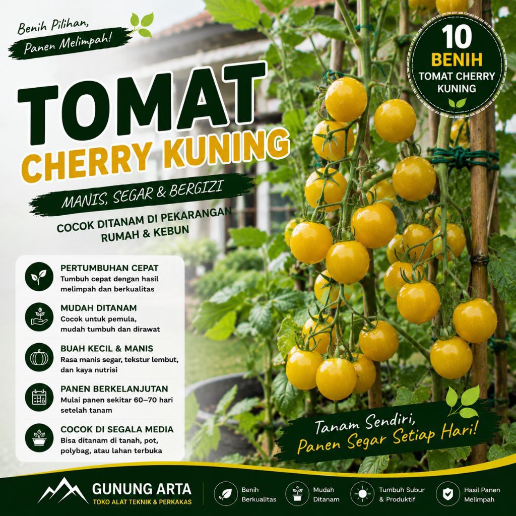Benih Tomat Cherry Kuning Isi 10 Biji Bibit Tomat Ceri Kuning Mini Sweet Yellow Cherry Tomato Sayur 