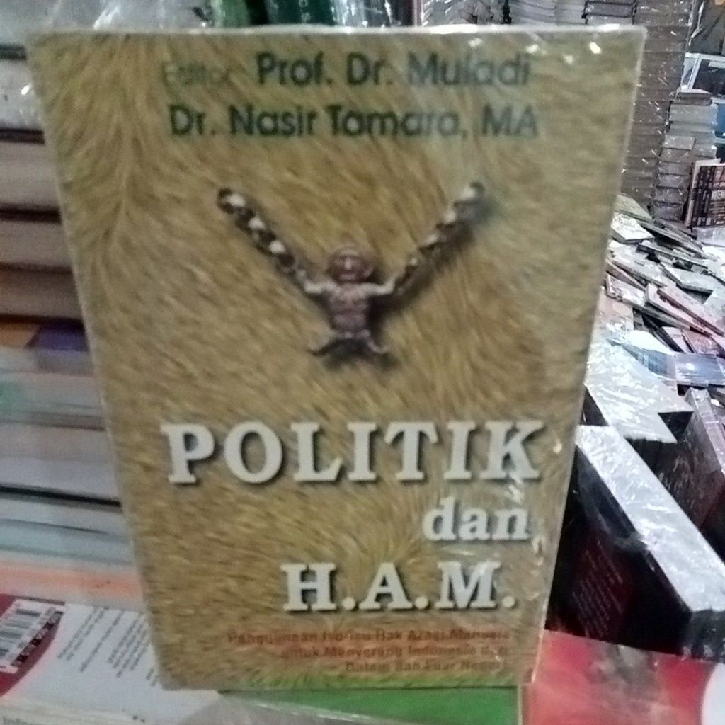 buku politik dan HAM