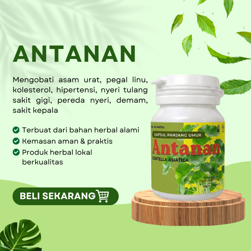 ANTANAN HERBAL ISI 40 KAPSUL