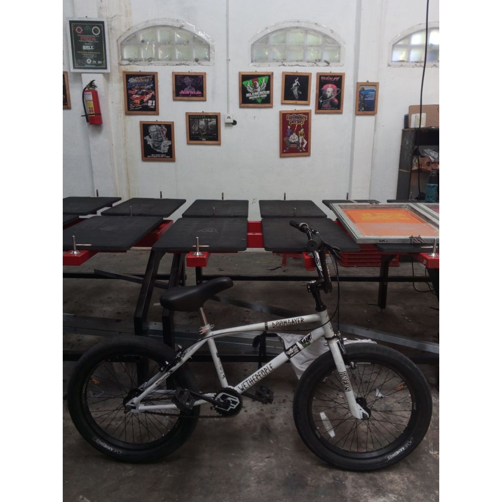 BMX FULL BIKE SZ 20