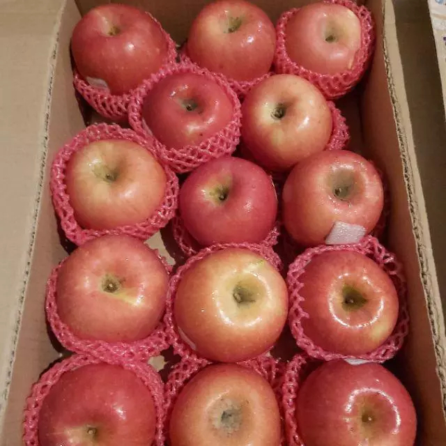 Apel Fuji Apel Merah Manis Segar 1kg