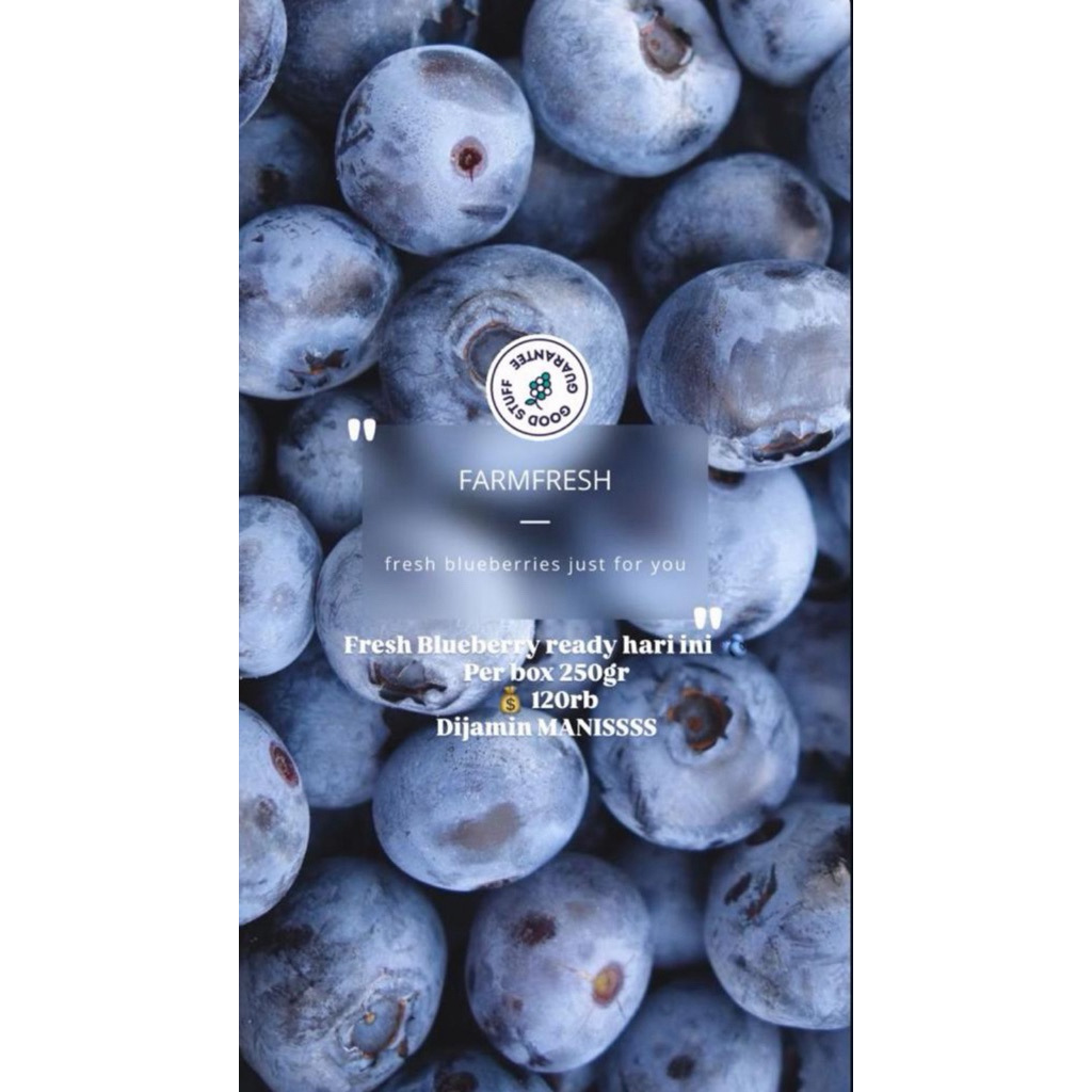 Fresh Blueberry 250gr