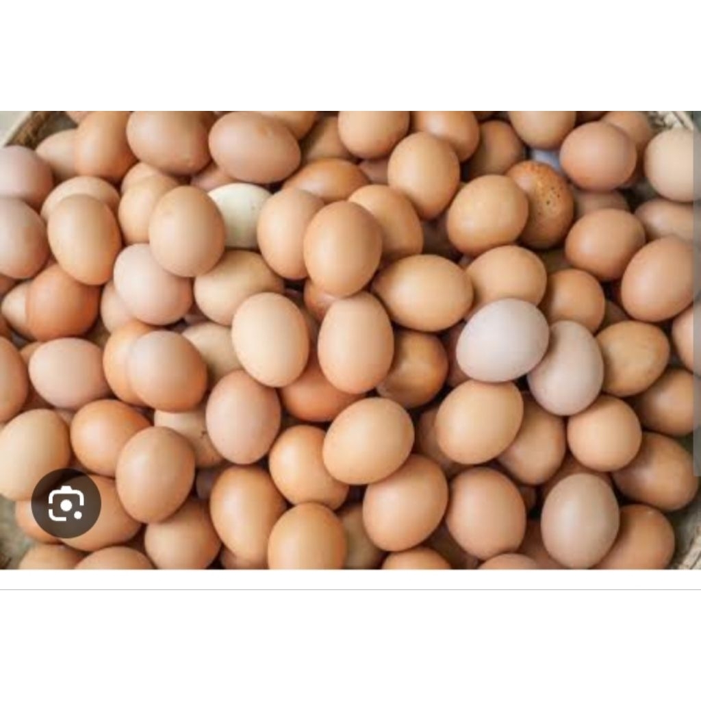 telur ayam 1kg