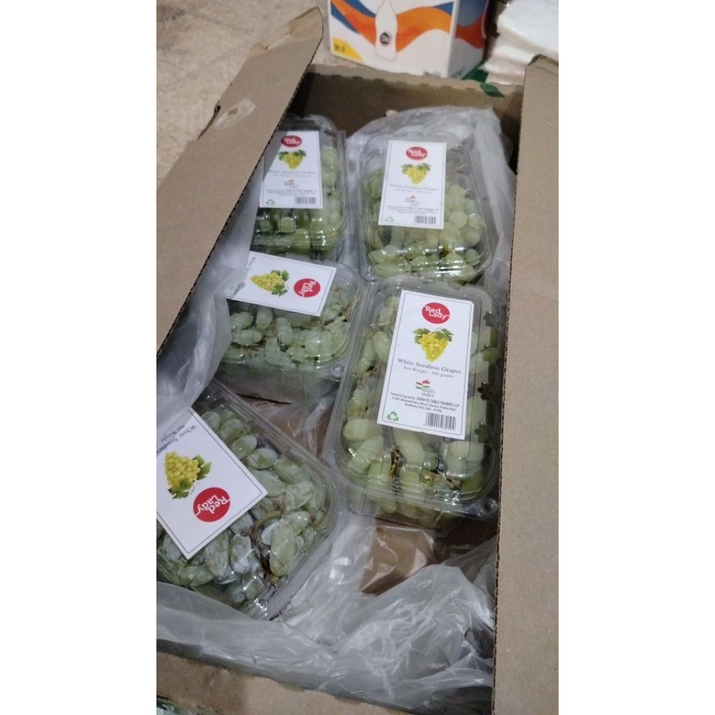 buah anggur hijau Australia 500 gr (permika)
