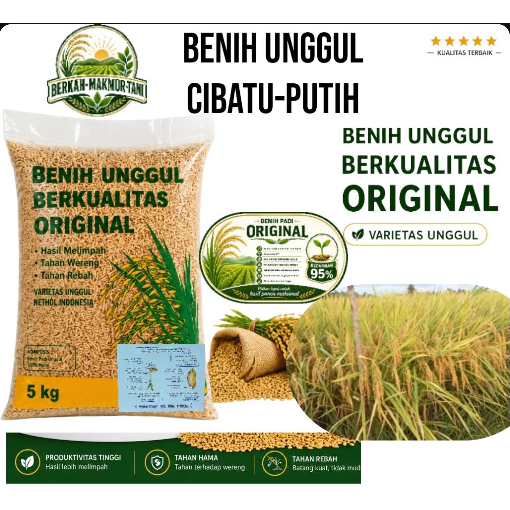 BENIH PADI CIBATU-PUTIH ORIGINAL KEMASN 5K