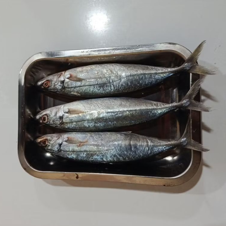 Ikan Layang Segar | 1kg