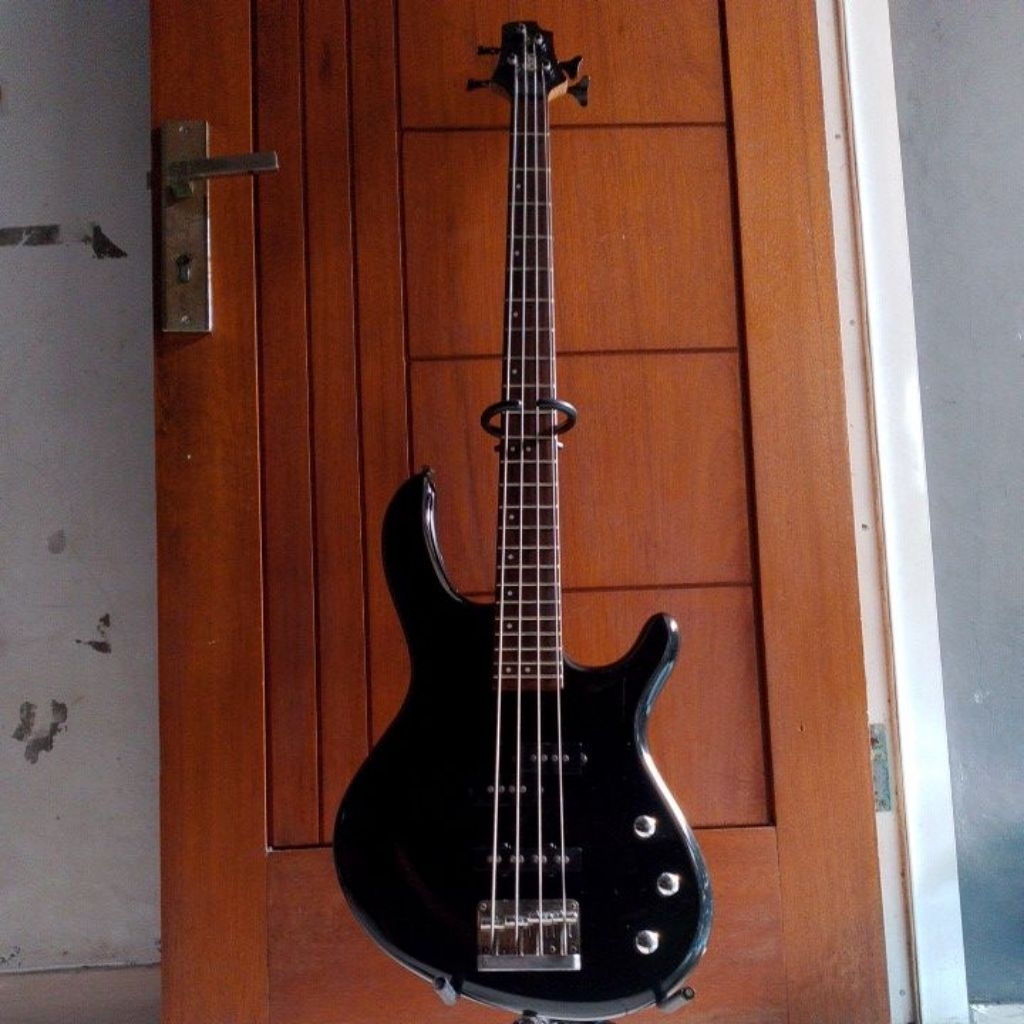 Bass cort