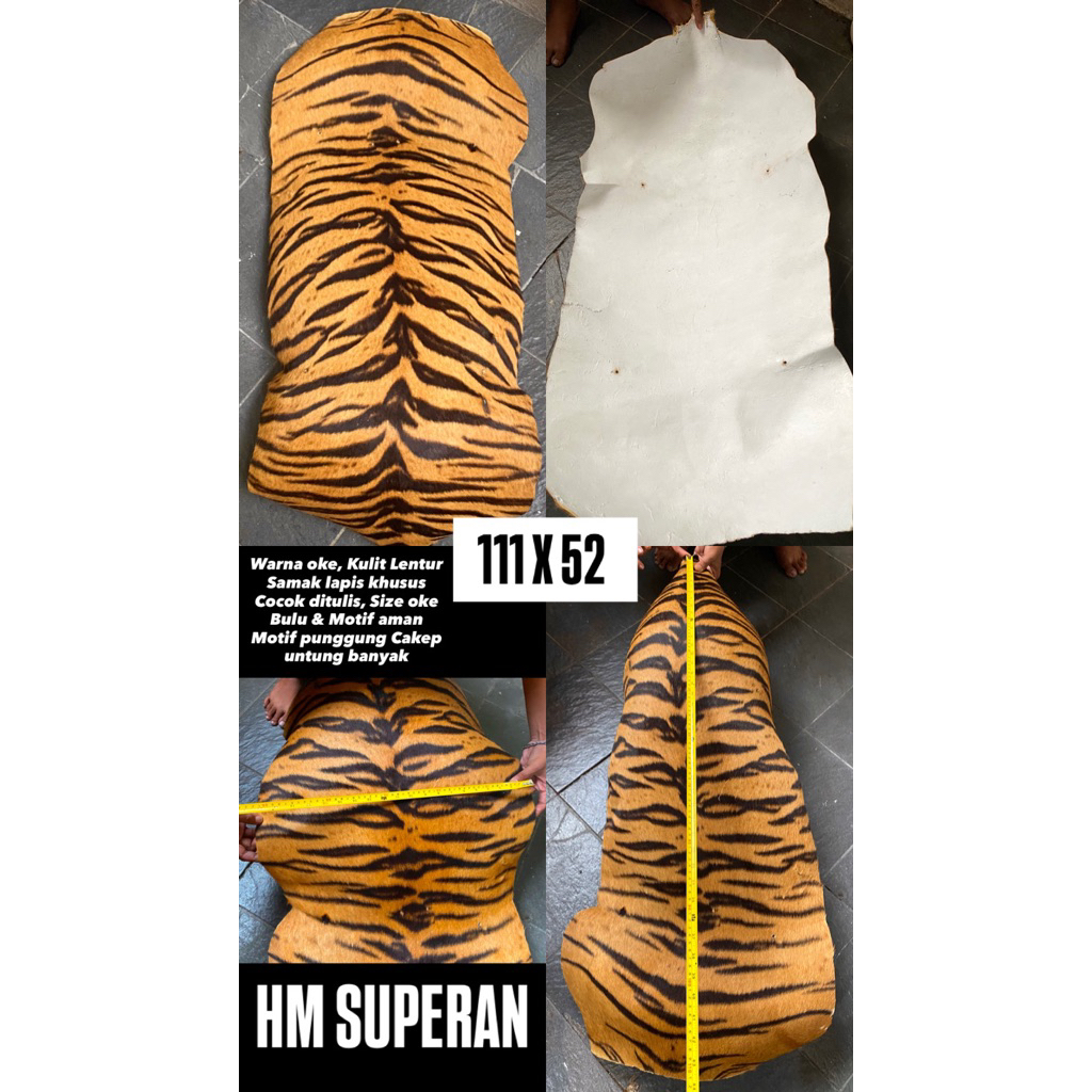 HM Kulit SUPERAN Sebadan BONUS BUNTUT