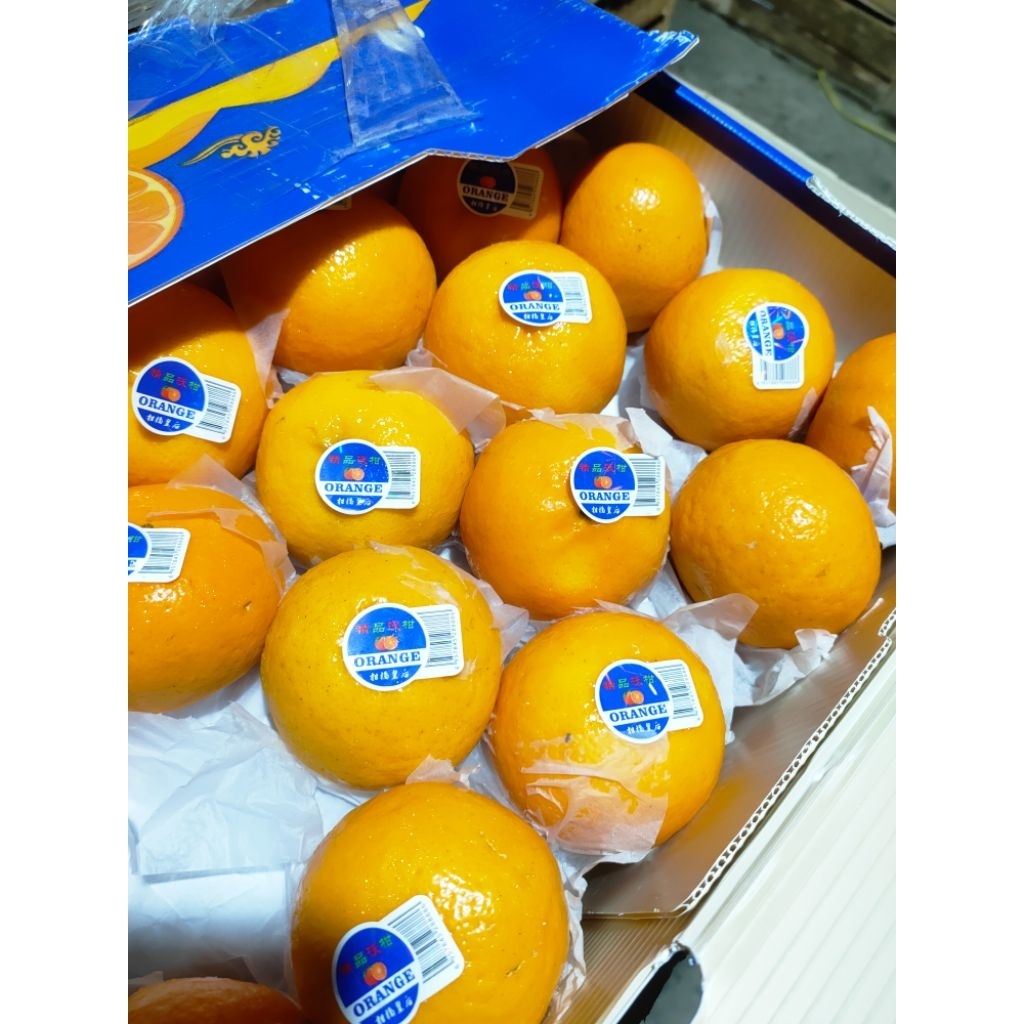 Jeruk wogan premium mandarin CILACAP