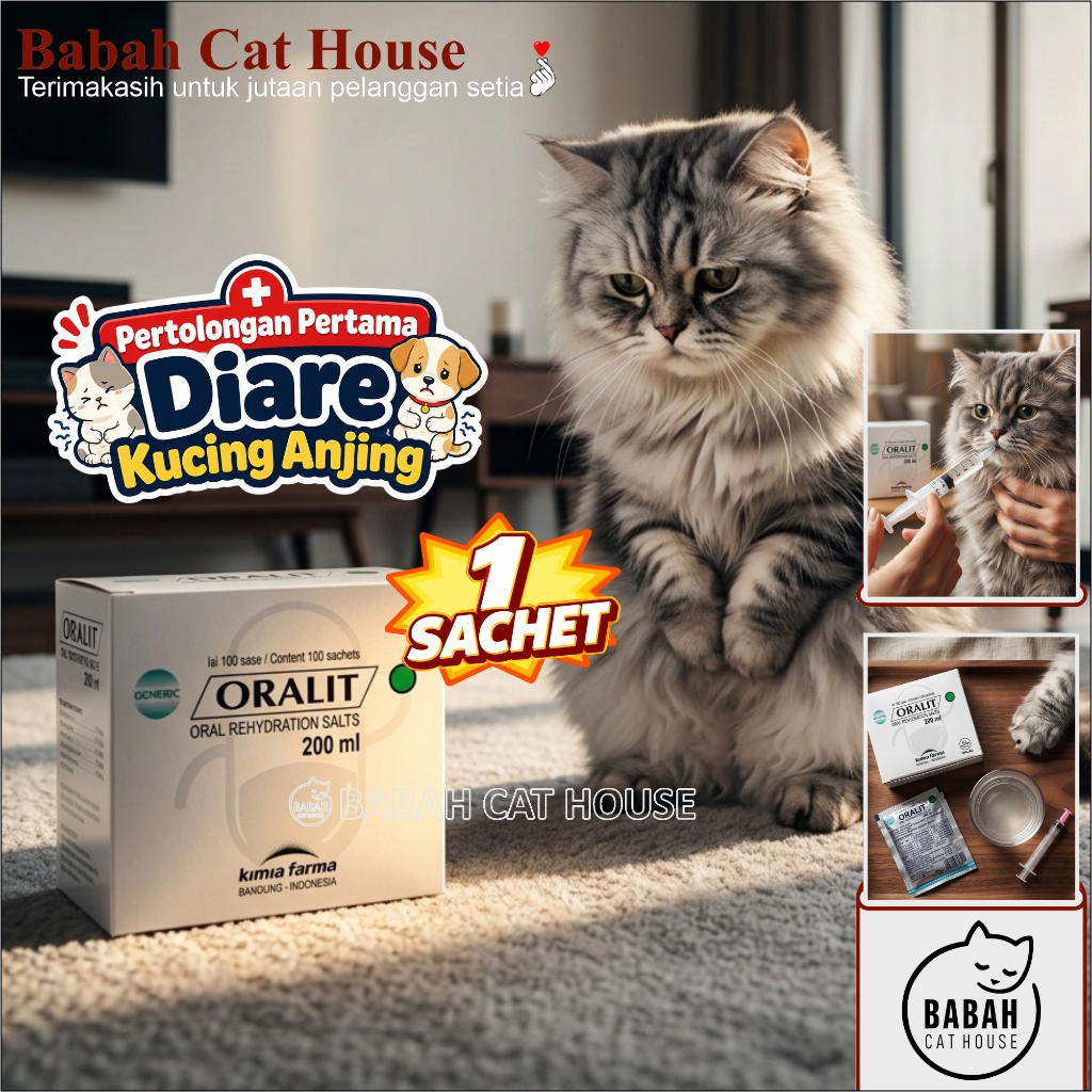 ORALIT Obat Kucing Diare Anjing Mencret Kitten Anak Lemas Sachet Ampuh Untuk Perawatan Hewan Sakit