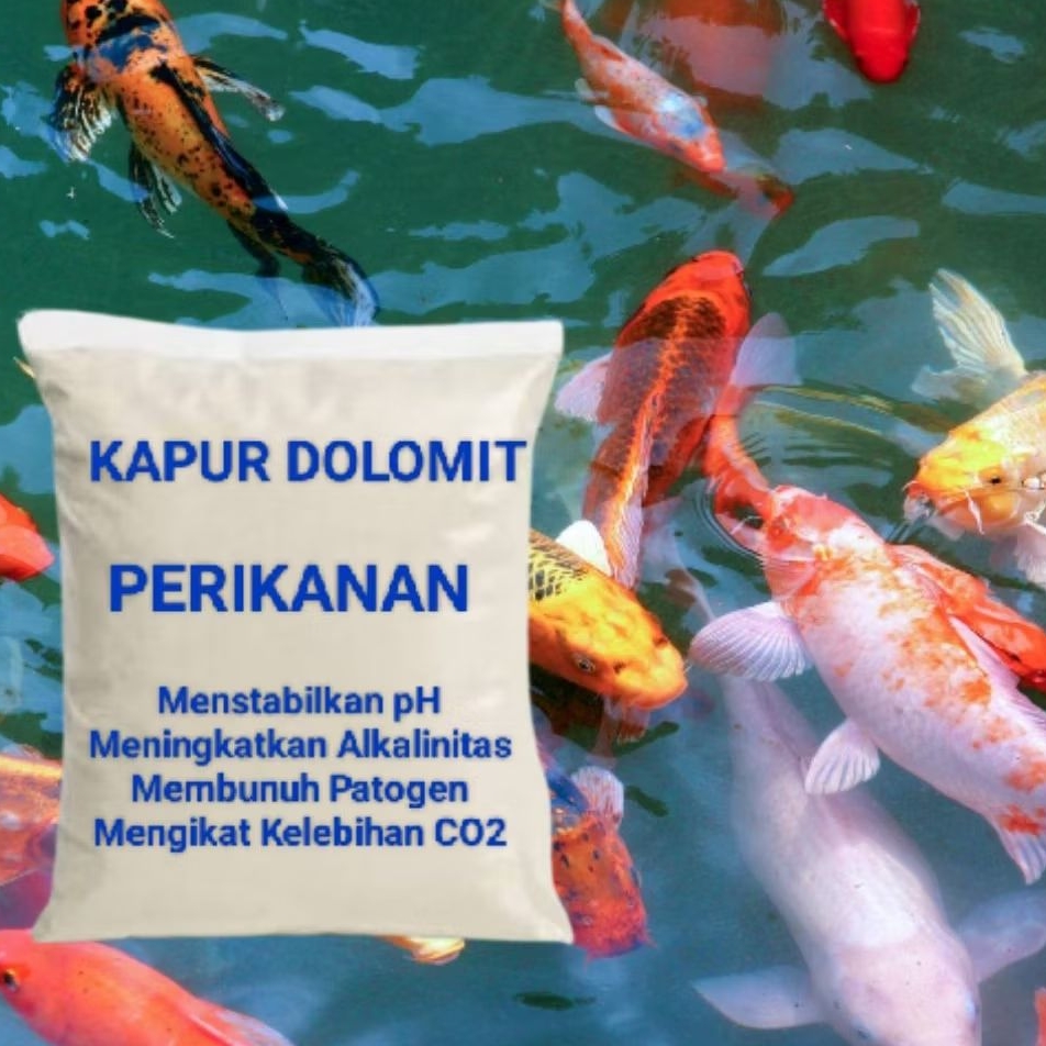 Kapur Dolomit Untuk PERIKANAN 500gr, Meningkatkan pH Air -  Nila, Lele, Fatin, Ikan Mas, gurame, gur