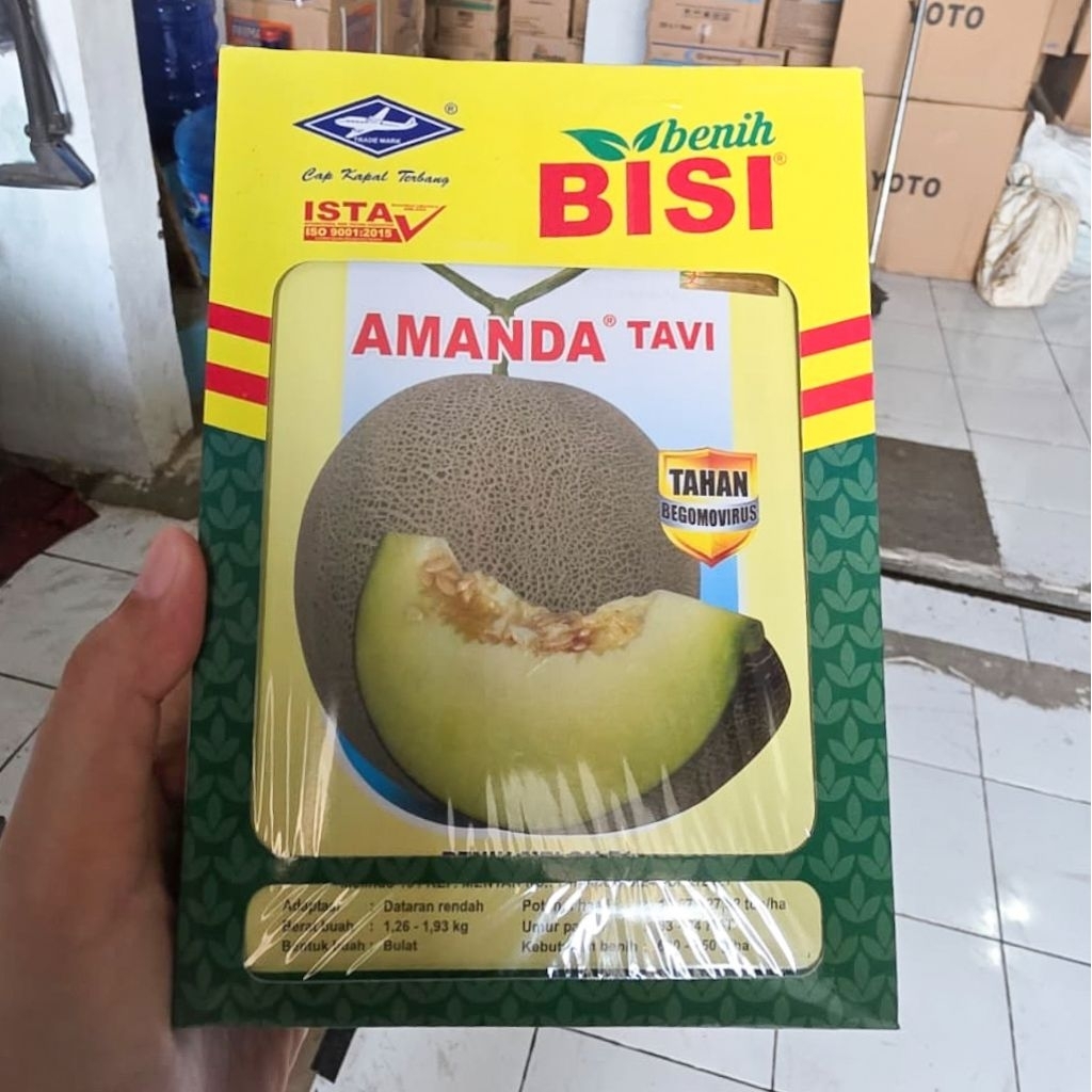 Benih Melon Amanda Tavi F1 550 Butir Cap Kapal Terbang - Bibit Anti Virus