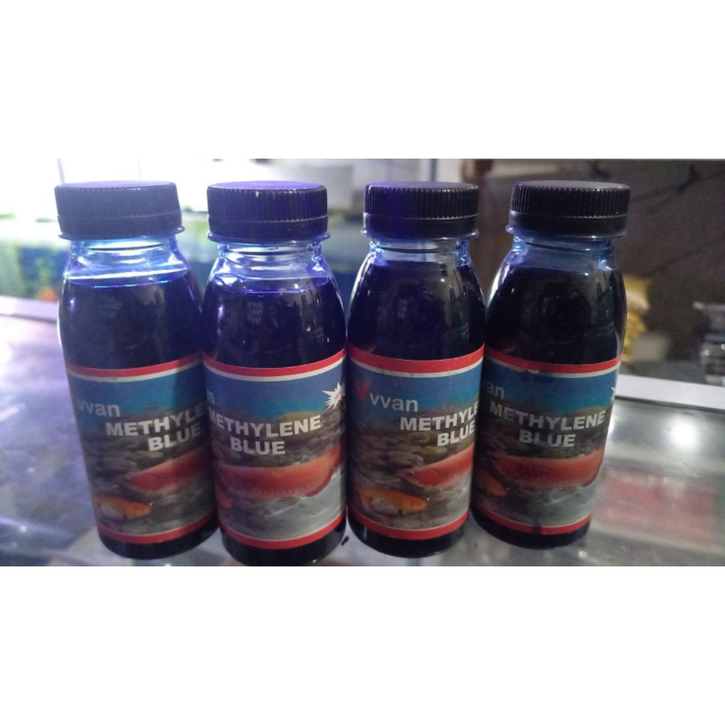 obat jamur ikan