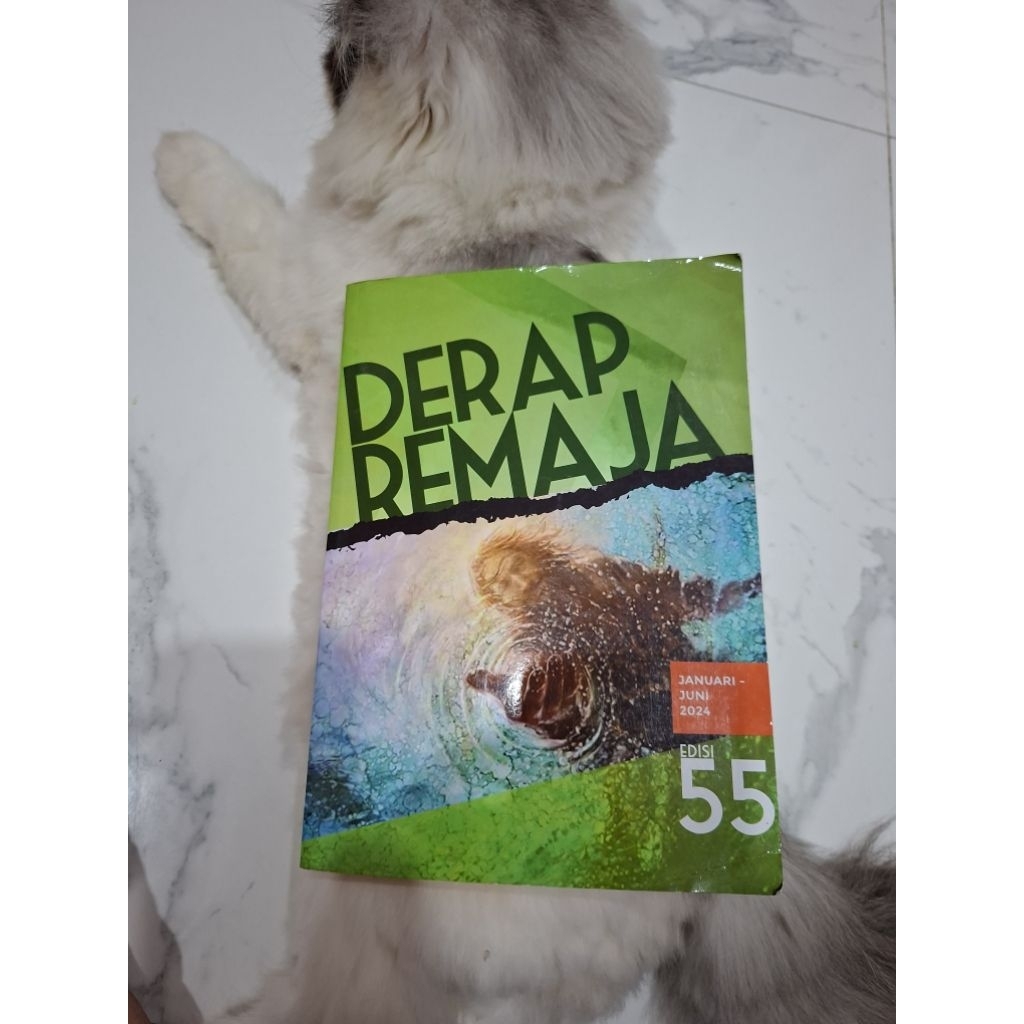 BUKU DERAP REMAJA JANUARI JUNI 2024