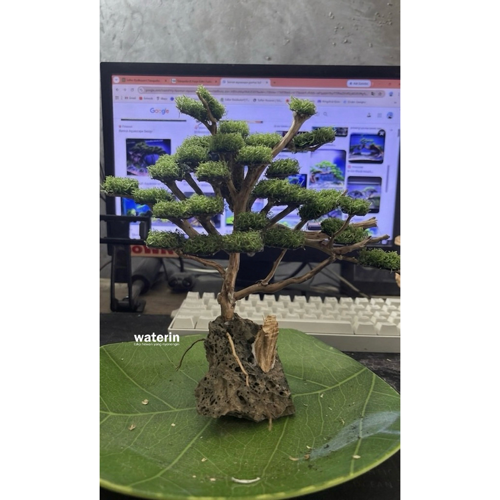Bonsai Mini Aquascape dengan Rumput Sintesis Siap Pakai