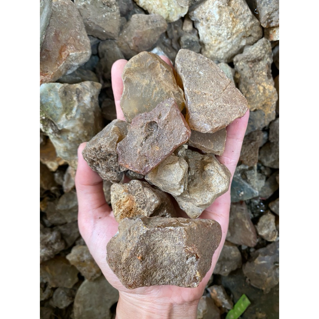 1kg bahan akik anggur