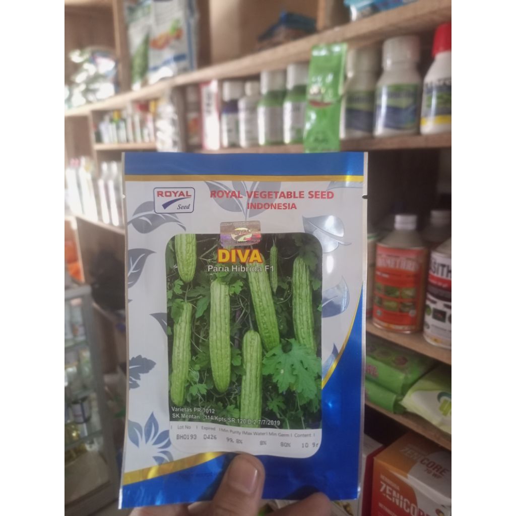 benih pare / Paria DIVA F1 ( Paria hibrida )