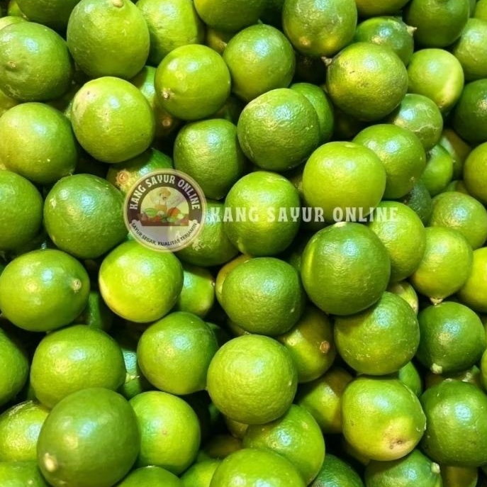Jeruk nipis segar/ super/ berkualitas/ murah/ 1Kg