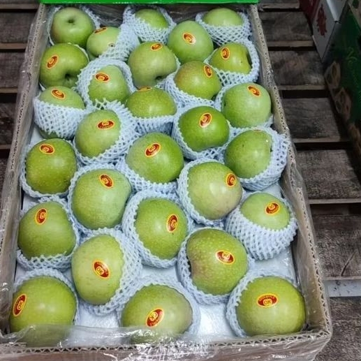 Apel granny smith import 1kg fresh apel hijau