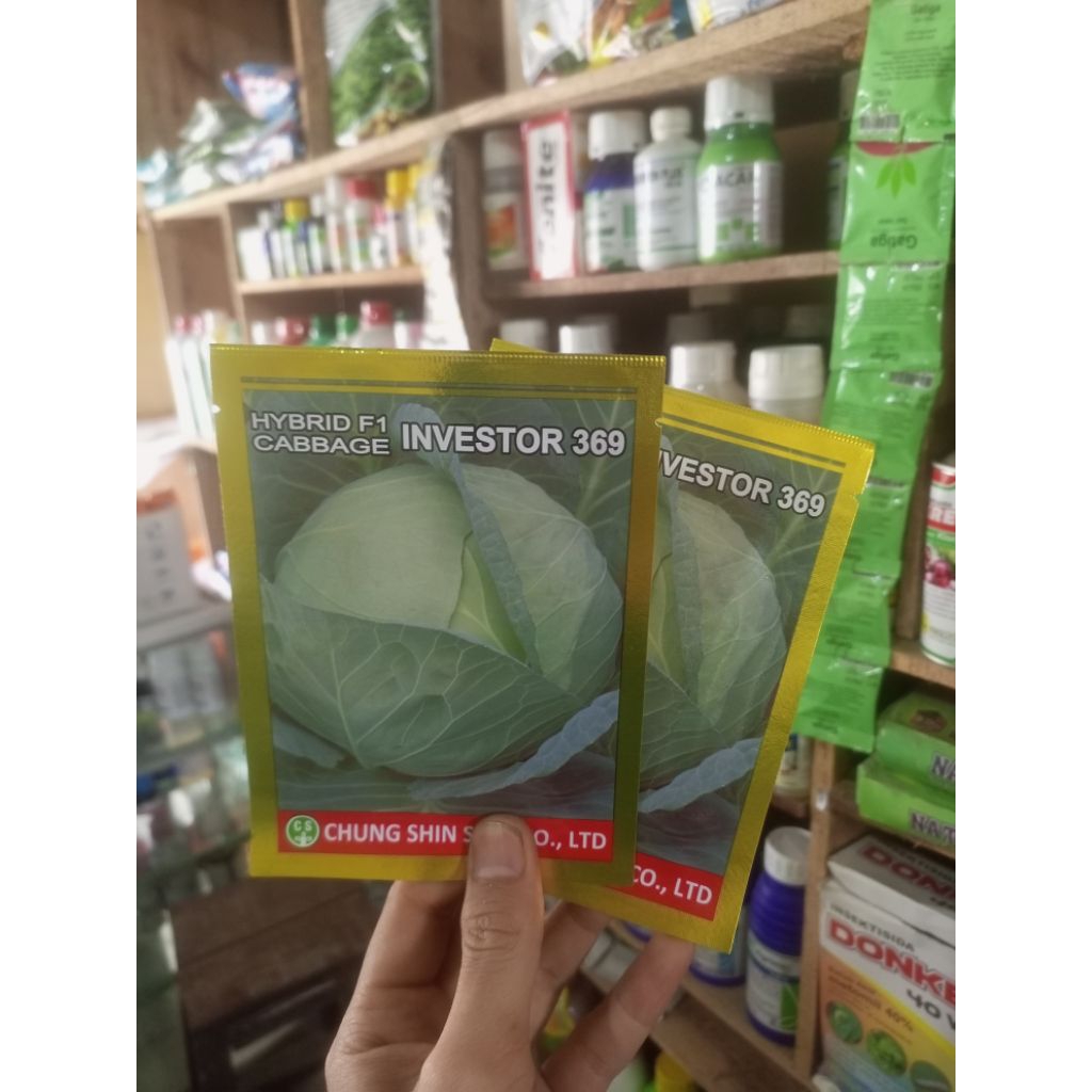 benih kubis INVESTOR 369 F1 10 gram ( kubis hibrida )