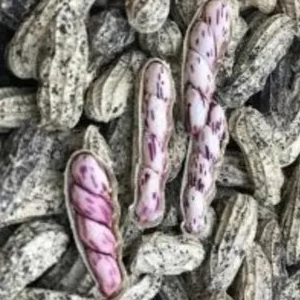 Kacang Tanah basah (kulit) 500g