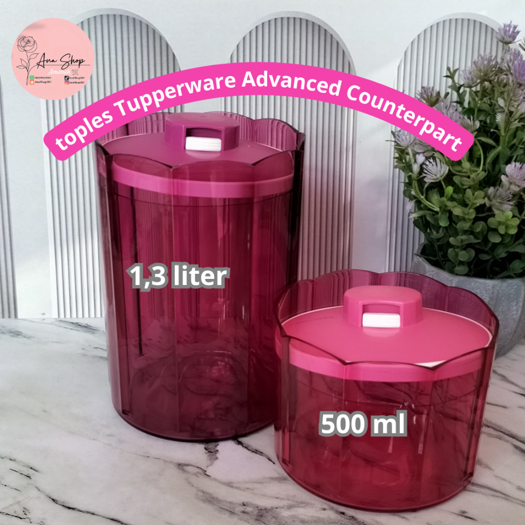 Tupperware Advanced Counterpart (1)