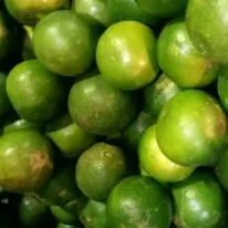 Jeruk sonkit/kunci 1kg