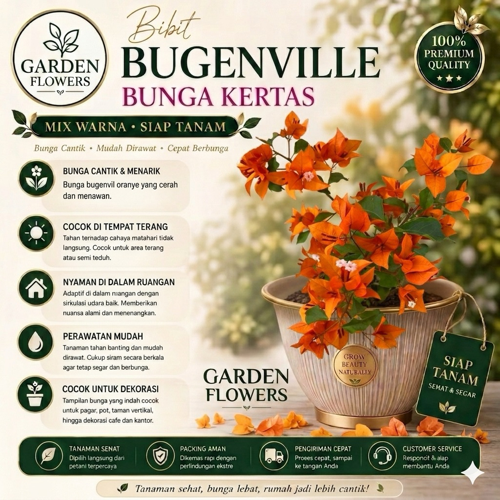 BOUGENVILLE FIRE OVAL (COD)