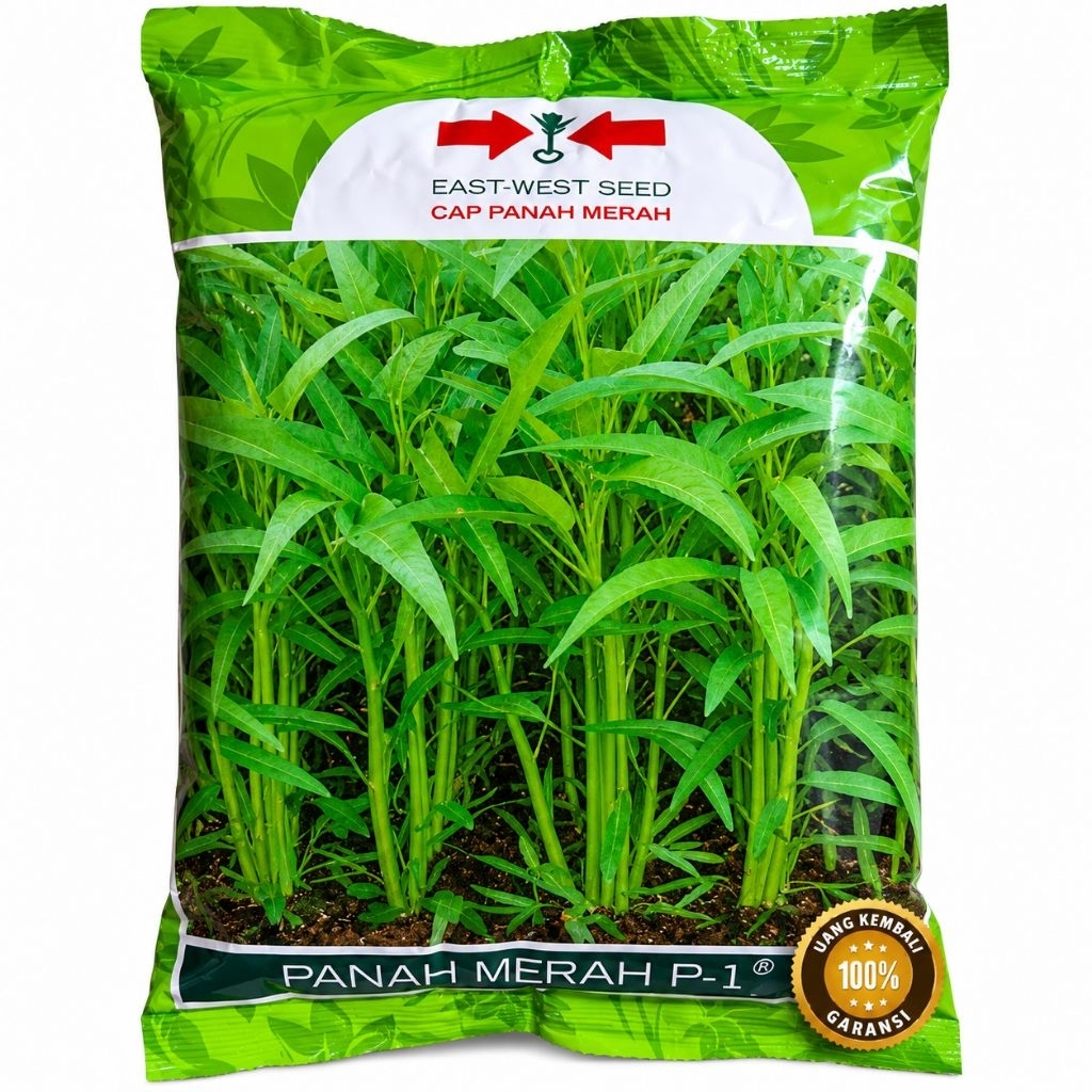 benih kangkung BANGKOK LP-1 berat 1kg benih unggul berkualitas tinggi