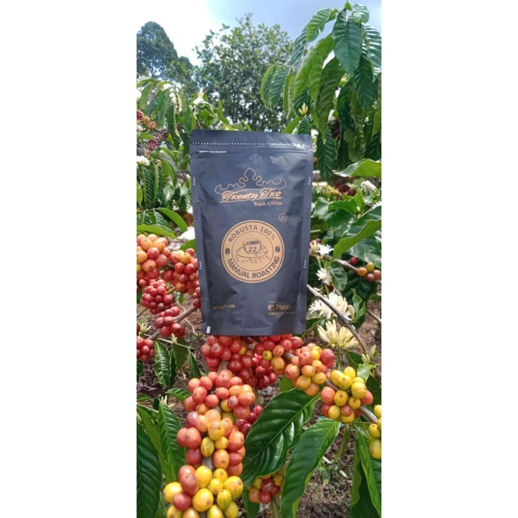 Twenty Two Coffee