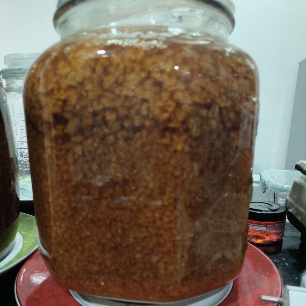 Bibit Teratai Salju Bibit Teratai Salju kualitas super herbal 500 g