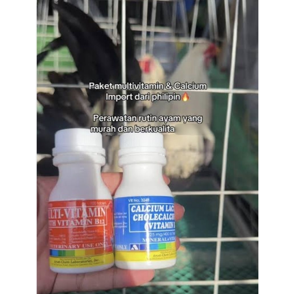 CALCIUM LACTATE DAN MULTIVITAMIN## UNTUK AYAM ADUAN##