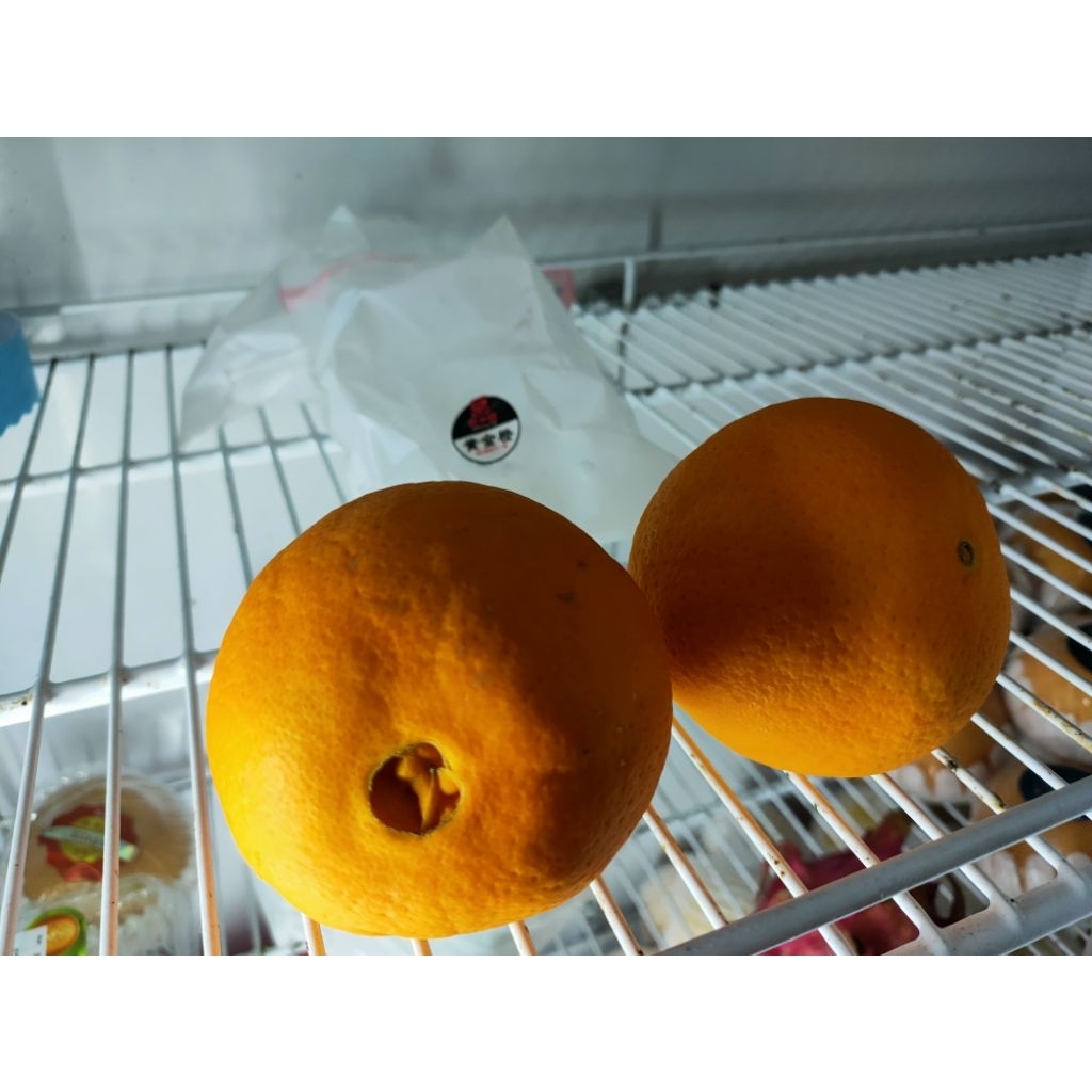 Buah Jeruk Sunkist Navel