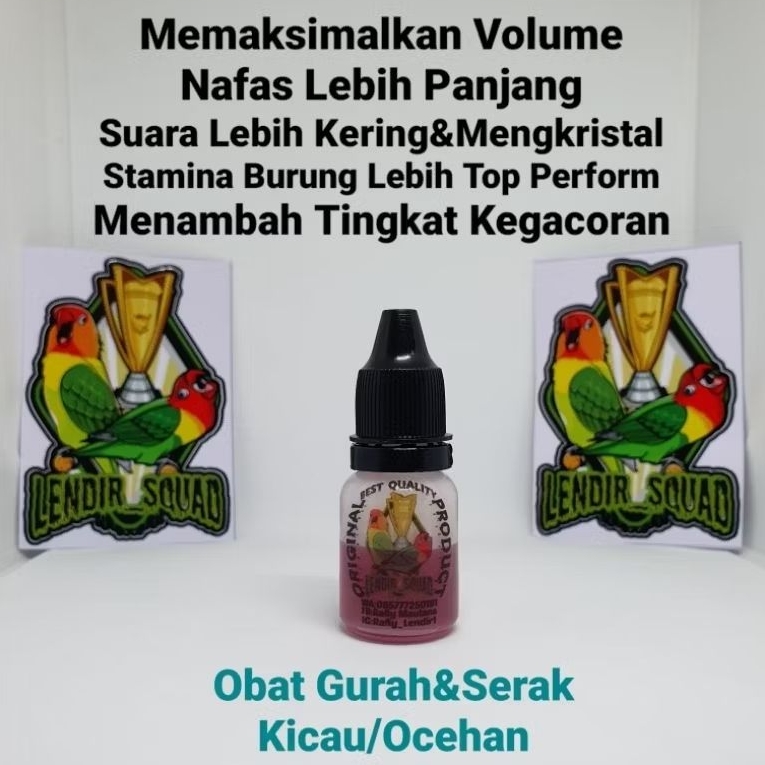 OBAT GURAH BURUNG LENDIR SQUAD VITAMIN SUPLEMEN SUPER CUCAK HIJAU MURAI BATU KACER