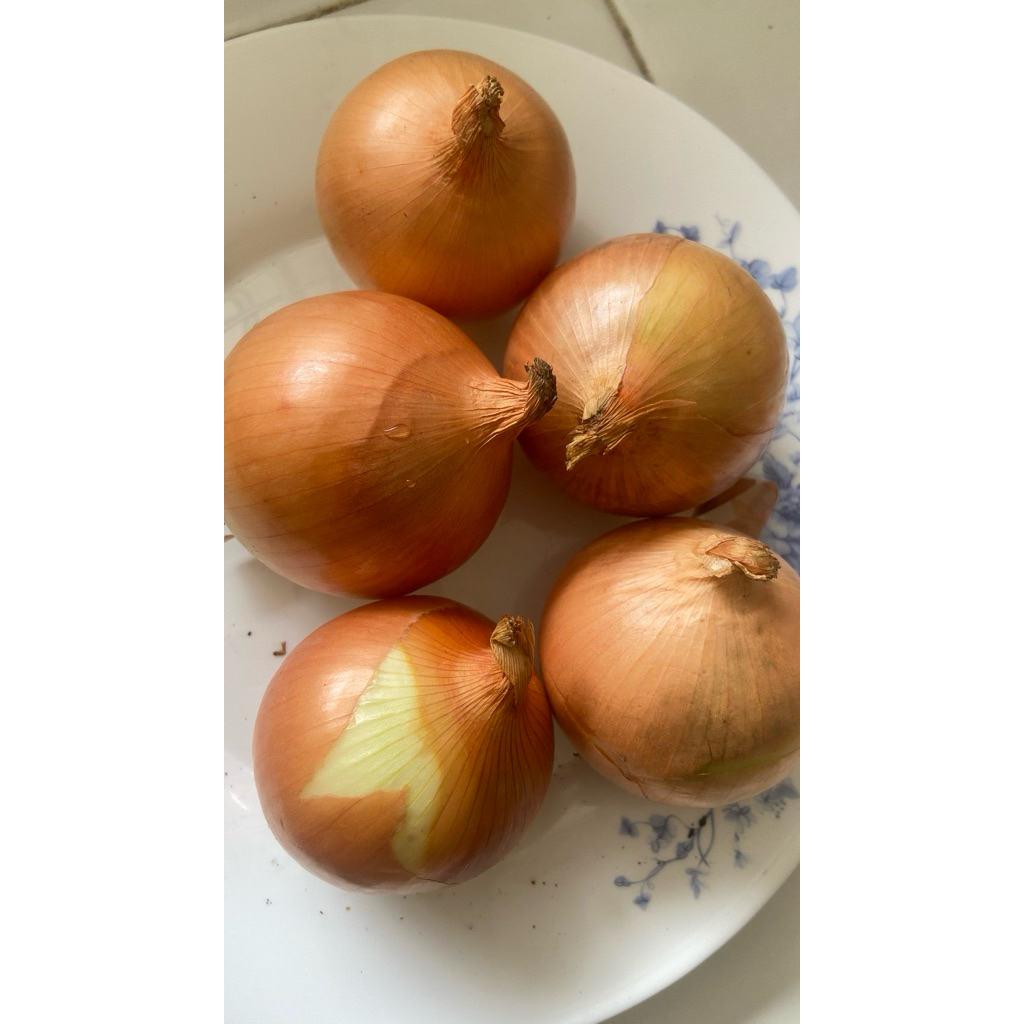 Bawang Bombay Segar 1kg - Bawang Merah Segar, Berkualitas Tinggi, Siap Digunakan