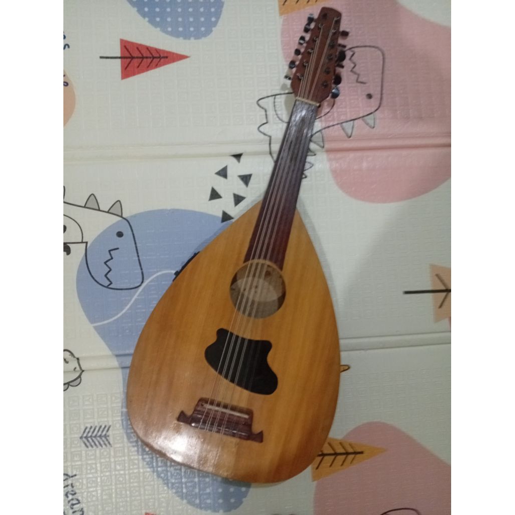 Oud semi elektrik solid