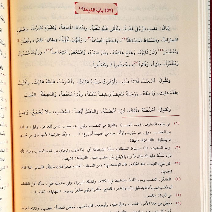 Jual Kitab Al Alfaz Al Kitabiyah Fi Ilmi Al Arabiyyah Muassasah Alresalah | الالفاظ الكتابية في علم العربية Impor Original di Toko Kitab Alresalah