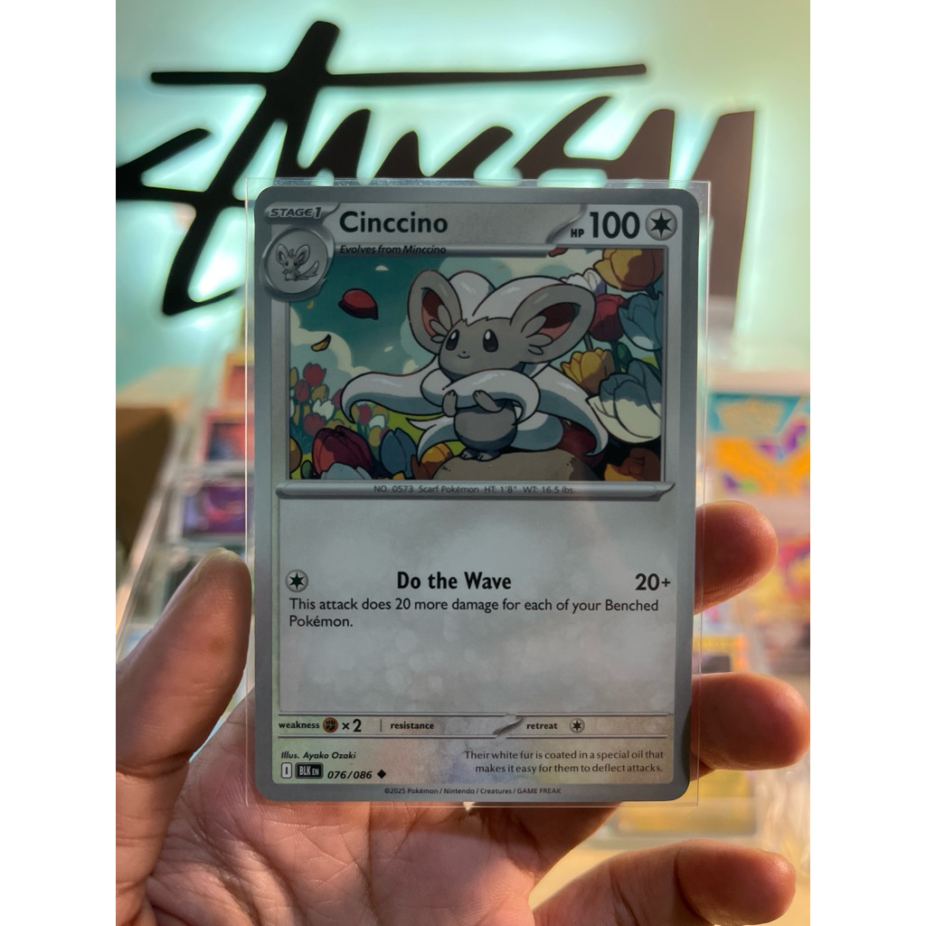 CINCCINO - BLK EN 076/086