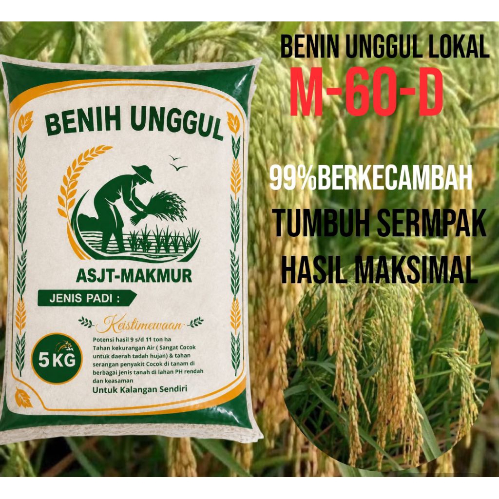 BENIH PADI M-60-D ORIGINAL KEMASAN 5KG