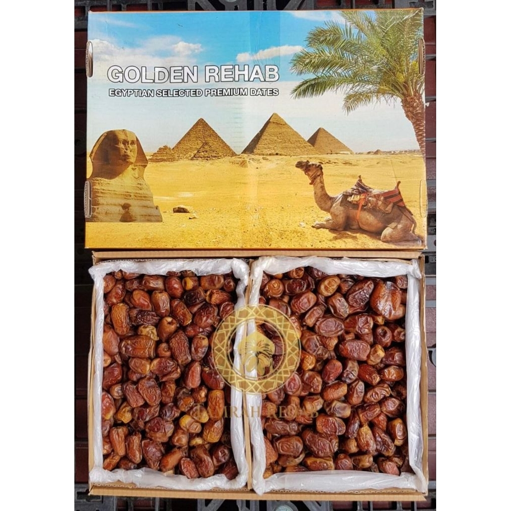 TAMRAH REHAB - KURMA MESIR GOLDEN REHAB