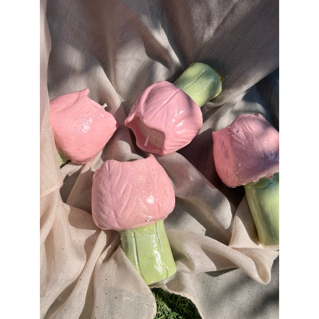 Lilin Aromaterapi| SOY WAX Aesthetic || Flower Soy Wax | lilin aroma